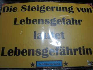 LEBENSGEFAHR... - wahrer Spruch auf Blech 20x30 cm
