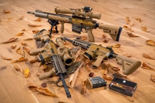 HECKLER & KOCH MR 308 A3 - SPECIAL EDITION - HK G28 PATROUILLE DESIGN & TECHNIK - RAL 8000 - HK 417