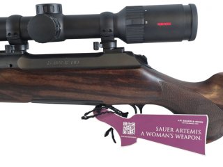 J.P. Sauer & Sohn 101 Artemis die Waffe der Frau im Komplettset mit Optik und Schalldämpfer