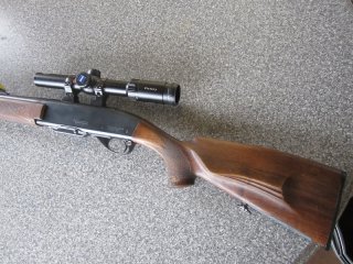 Remington Woodsmaster 742 30-06