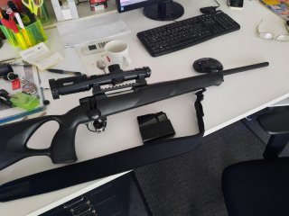 Jagdwaffe Mercury 30-06 mit Lochschaft