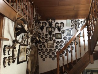 Trophäensammlung