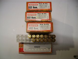 .222 Rem Norma 73 Patronen