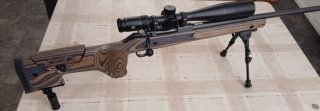 CZ 600 RANGE mit VORTEX 5-25x50 .308 WIN