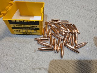 Berger Boat Tail Target Geschosse Kal. .22 / 73 gr – 30 Stück