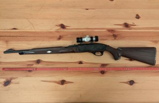 Remington Nylon 66 .22 lr lfb