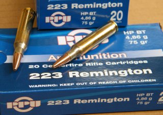 .223 Remington/75grs. HPBT PPU A-481 100 stk. # SSZ Berka