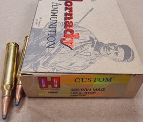 .300WinMag/165grs BTSP Interlock Hornady 20 stk No. 8202 # SSZ Berka