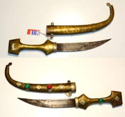 Koummya Algerien