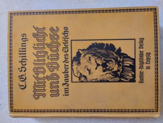 Mit Blitzlicht und Büchse 1920 Jagd und Tierfang Ostafrika Schillings Kolonien