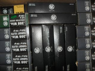 .308 win rws 480x