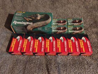 1010 Patronen .22lr Remington Viper HV + Federal AE HV
