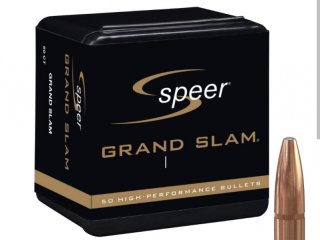 .338 Speer Grand Slam 30 Stück 16,2 Gramm