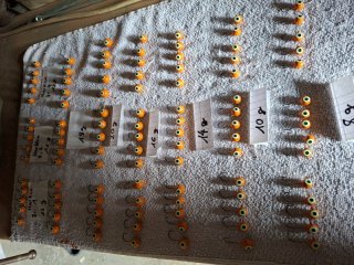 5x fyrebol (jigköpfe) 8 bis 20 gramm anschauen lohnt