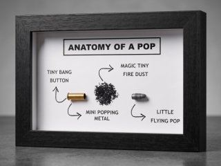ANATOMY OF A POP .22lr .22lfB kein wk2 kleinkaliber Schaukasten Geschenk MUNITIONSDISPLAY