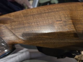 Blaser BBF 95