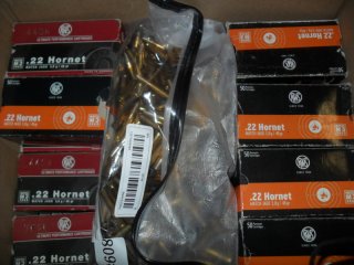 .22 hornet rws 2000x