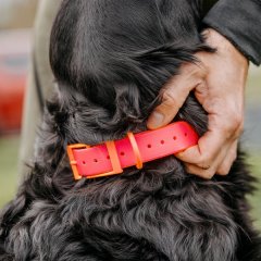 HP&G Hundehalsband 19mm Pink Versandkostenfrei 510862