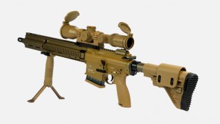 HECKLER & KOCH MR 308 A3 - SUPER SPECIAL = HK G28 PATROUILLE DESIGN & TECHNIK - RAL 8000 - HK 417