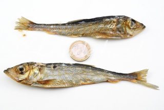 200g LODDE ! getrockneter Fisch 0,2kg Trockenfsich für Hunde & Katzen | Mallotus villosus > Welpe +