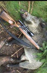 Rotwild, Sauen und Bockjagd im Bayerischen Wald