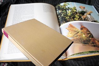 Das große Buch vom deutschen Wein - Friedrich A. Cornelssen