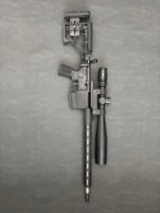 Sig Sauer Cross .308
