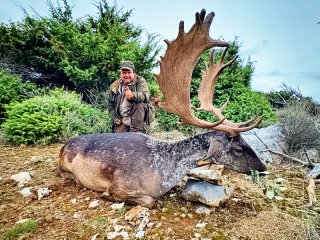 All inclusive Damhirsch Jagd auf der Insel Plavnik