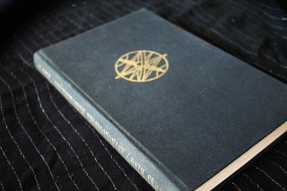 Astrologische Menschenkunde - Das lebende Modell Thomas Ring