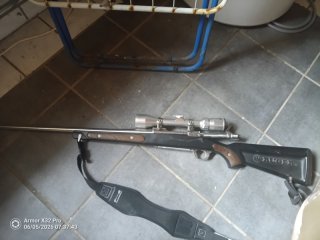 Ruger .22-250 rem