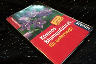 Kosmos Blumenführer für unterwegs - 180 Arten… Heike Dorsch