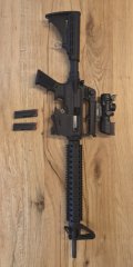 Mossberg 702 Plinkster im Kaliber .22lr in AR 15 Optik