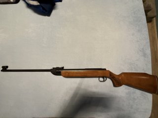 Diana Mod. 35