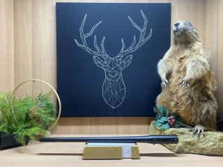 Blaser R8 Wechsellauf 6.5 PRC - 58cm - M15x1 - Waffen Schlemmer