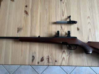 Steyr Mod sl 222