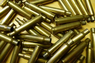 80 Hülsen RWS 5,6x50 R Mag 1x geschossen