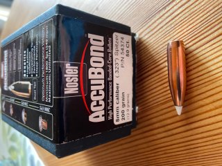 Nosler Accubond 8mm, 200 grain