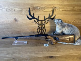 Sauer 505 .308Win - 51cm - M15x1 - Outback Paket - Holz Lochschaft handgeschäftet - Waffen Schlemmer