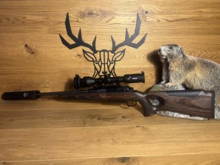 Mauser 25 Max .308Win - 51cm - M15x1 - Minox 2-10x50 - Mauser Schalldämpfer Waffen Schlemmer