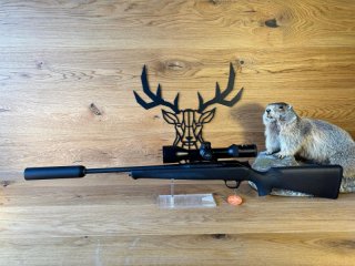 Blaser R8 Professional .308Win - 52cm - Blaser B2 2,5-15x56 iC S - B43Ti - Waffen Schlemmer