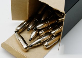 50 Stück NEUE RWS Geschosse - Speed Tip Professional .323 8MM S 180gr 11,7g | hohe Präzision! HMK Na