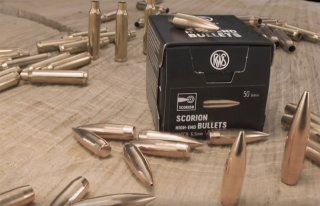 50 Stück NEUE RWS Geschosse SCORION Hohlspitz Match Geschosse HP .30 / .308 - 190grs 12,3g Hollow Po