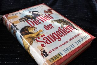 Die Welt der Säugetiere - Otto Fehringer