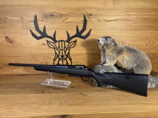 Mauser 25 Extreme .308Win - 51cm - M15x1 - Waffen Schlemmer Ingolstadt