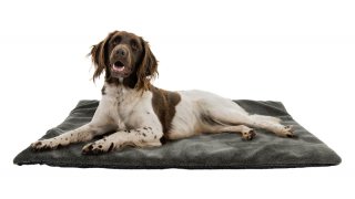 1 x AKAH Hunde Thermobett 100x120 cm | Faserpelz Vlies isoliert rutschfest maschinenwaschbar 30°