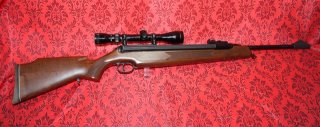 Luftgewehr Diana Mod. 48/52 nicht Weihrauch HW35/55 Anschütz