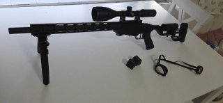 Ruger Precision Rimfire