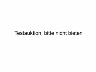 Testauktion02