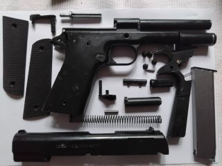 Reck government 9mm