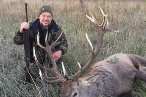 Hirschjagd in der Hauptbrunft!!! Ungarn